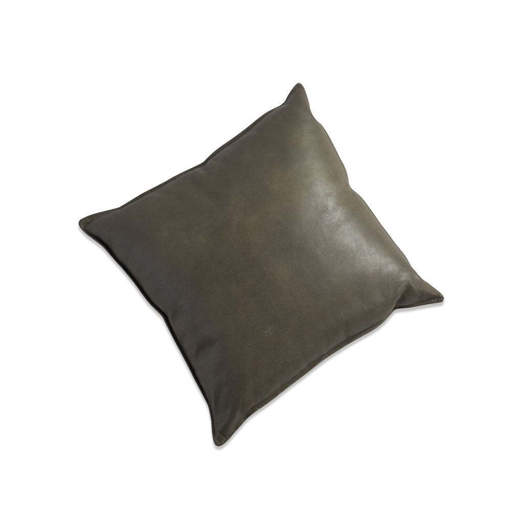 Vasa pillow