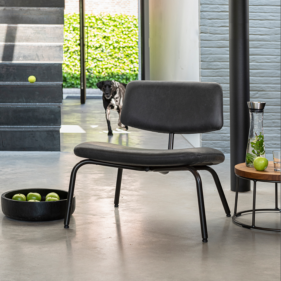 Zipp Armchair 3 LR