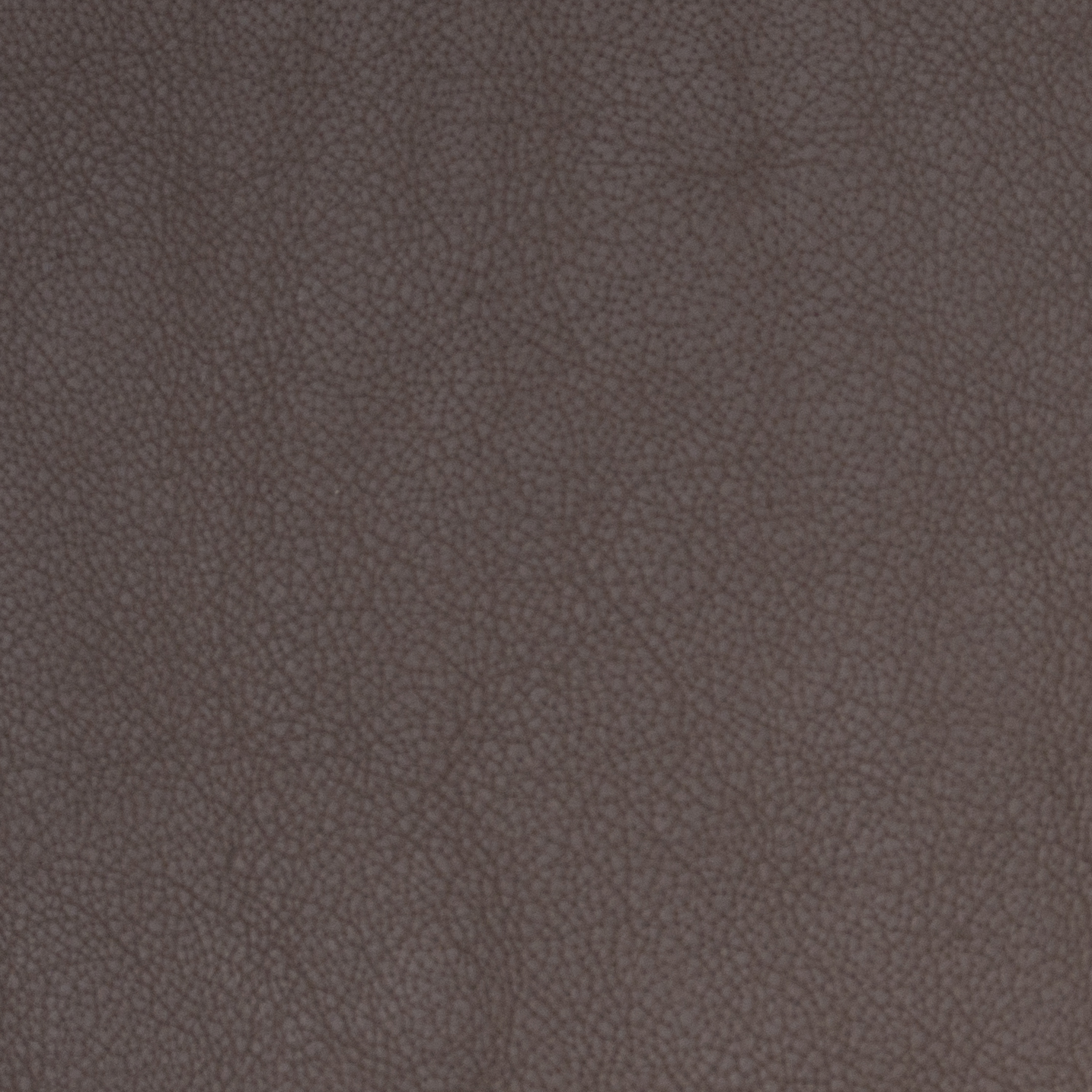 Royal Taupe