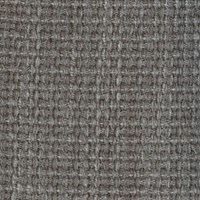 Antwerp Ash